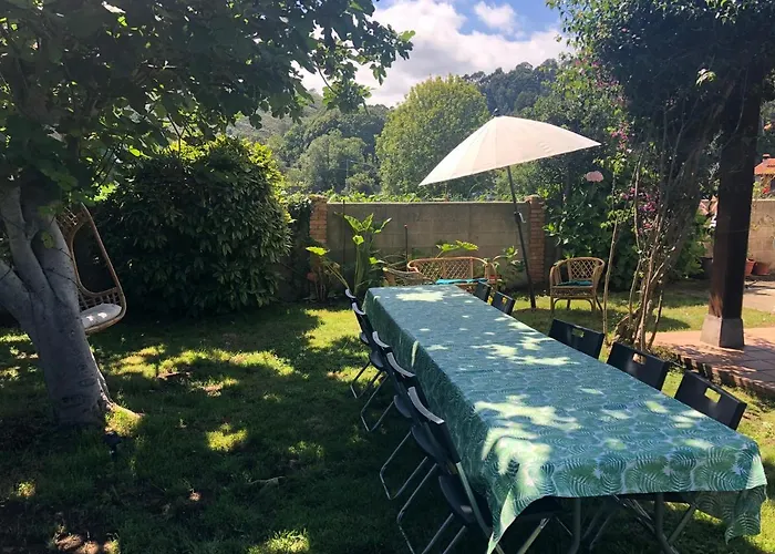 Siemprevivas. Naves, Llanes. Asturias * Llanes