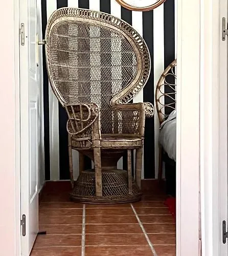 Siemprevivas. Naves, Llanes. Asturias * Llanes