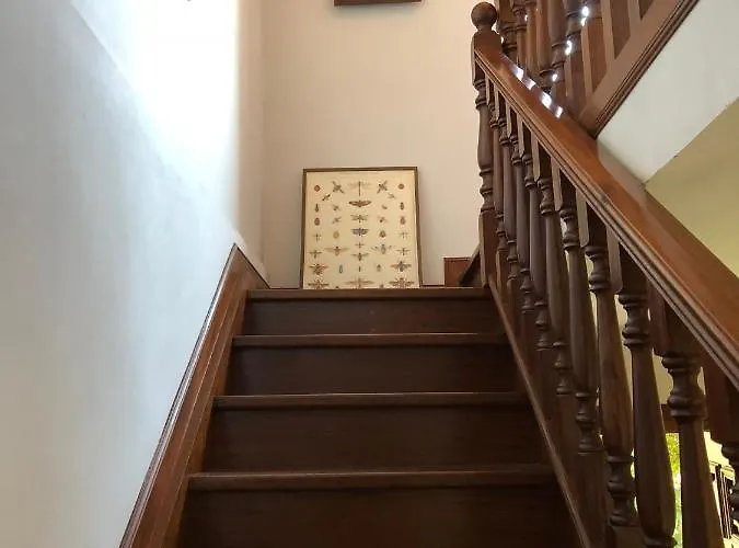 Siemprevivas. Naves, Llanes. Asturias