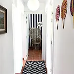 Siemprevivas. Naves, Llanes. Asturias * 라네스
